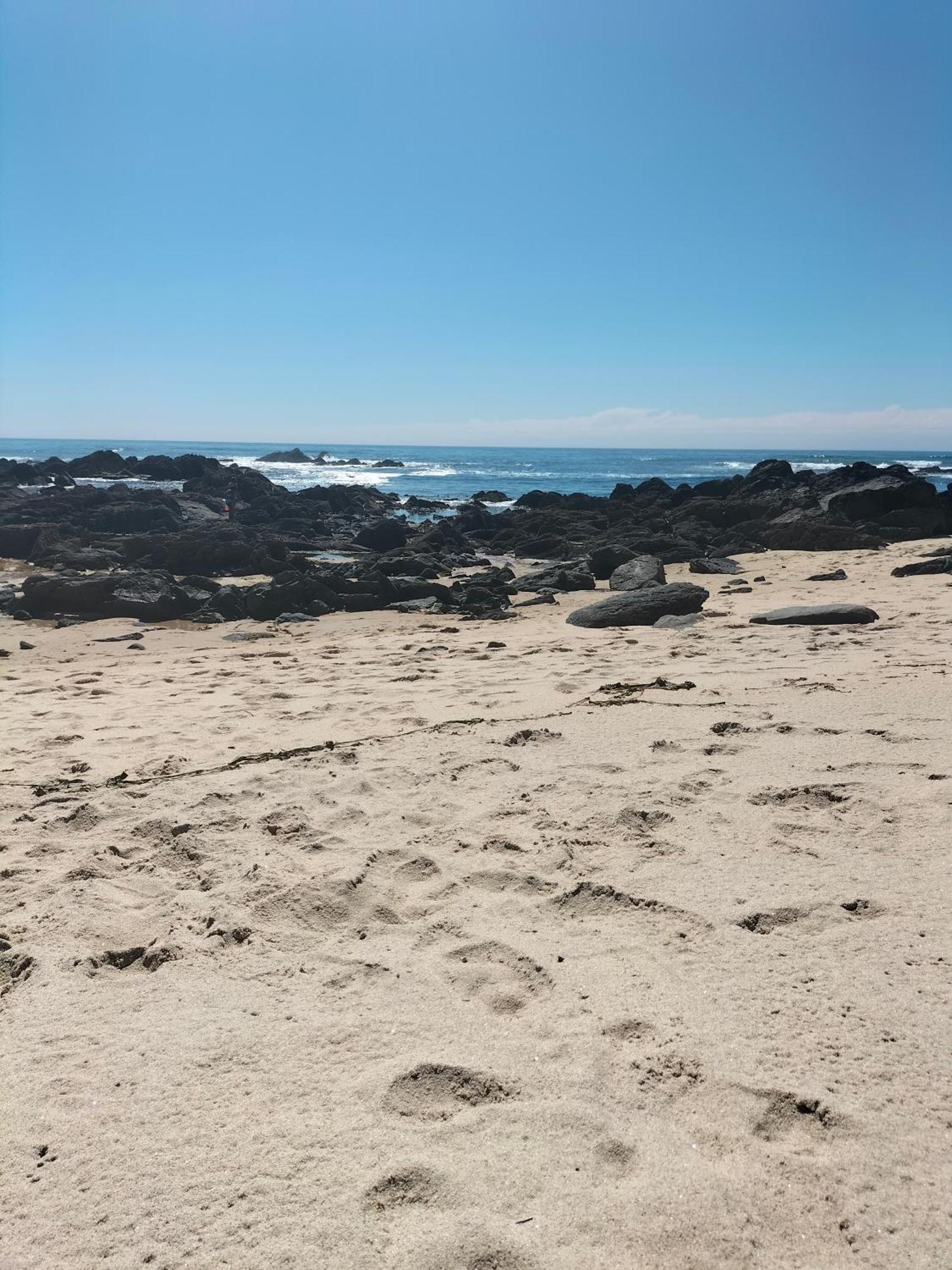 Villa Casa De Madeira E Pedra Afife Esterno foto